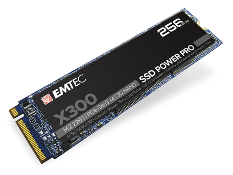 ECSSD256GX300